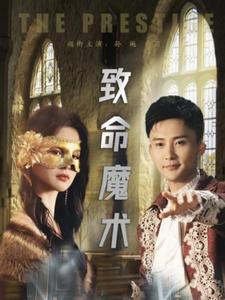 新播的电视剧